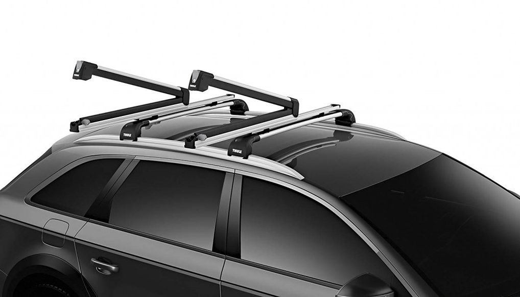 Thule SnowPack Roof